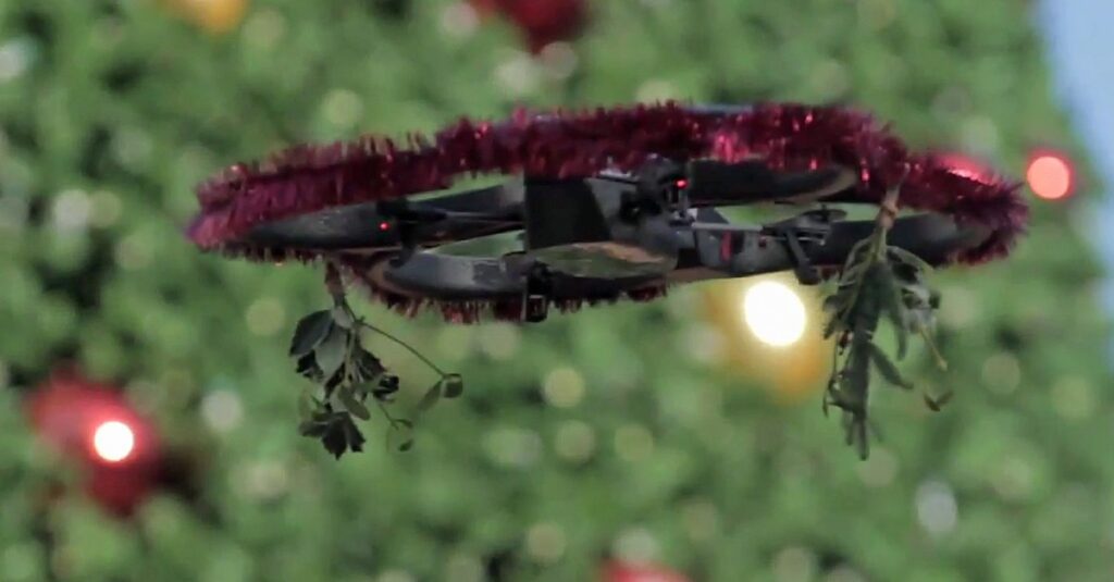 Mistletoe-drone