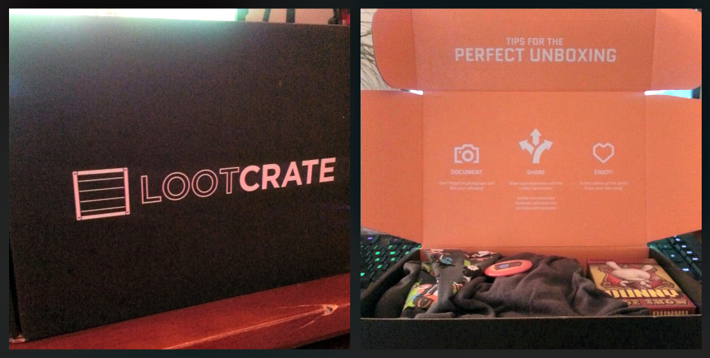 Loot crate february 2014 box shot