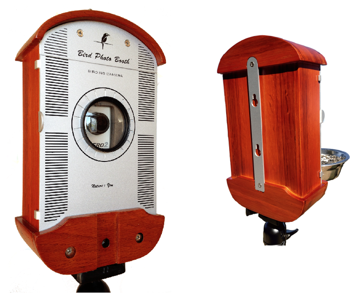 The bird photo booth: bird watching without the hassle