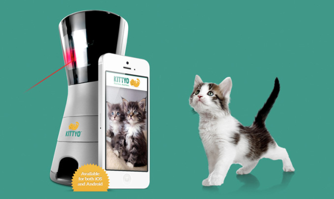 Interact with your cat from anywhere with kittyo