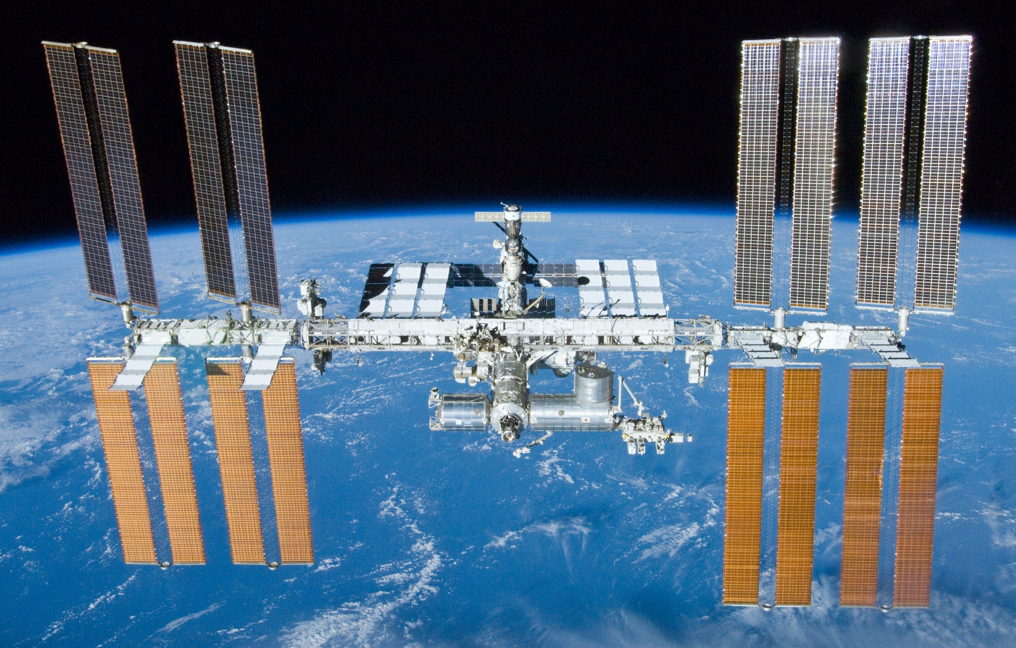 Plankton on the iss, nasa, space