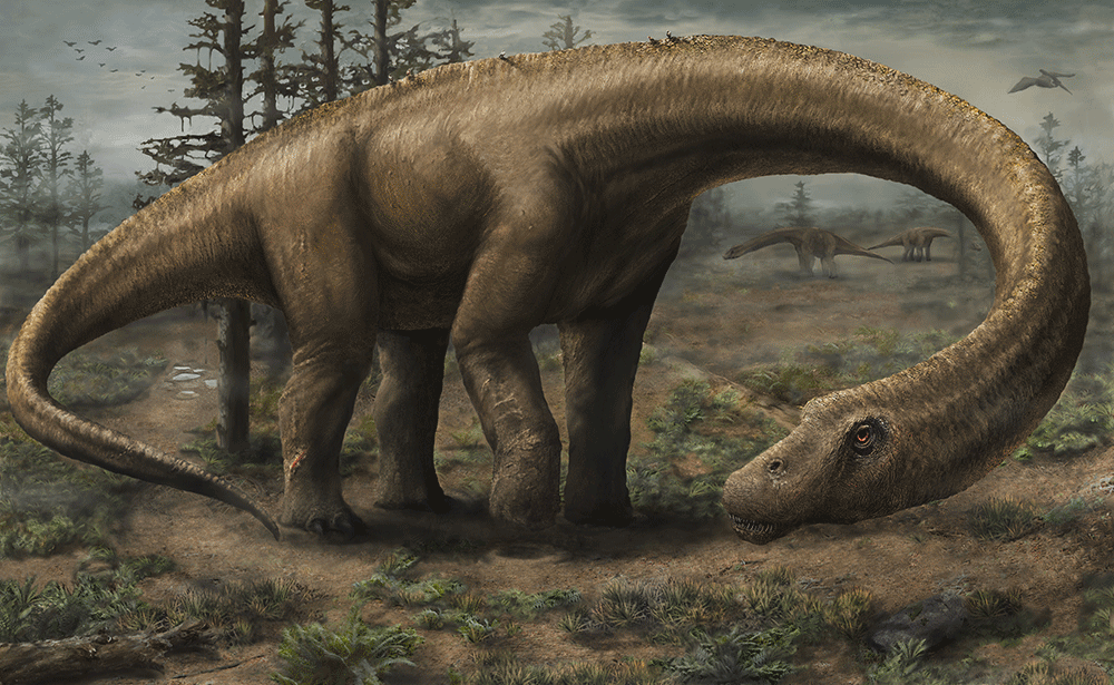 Dreadnoughtus schrani: the biggest dinosaur has been unearthed