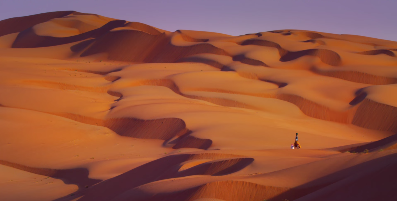 Google attaches camera to camel for stunning tour of arabian desert