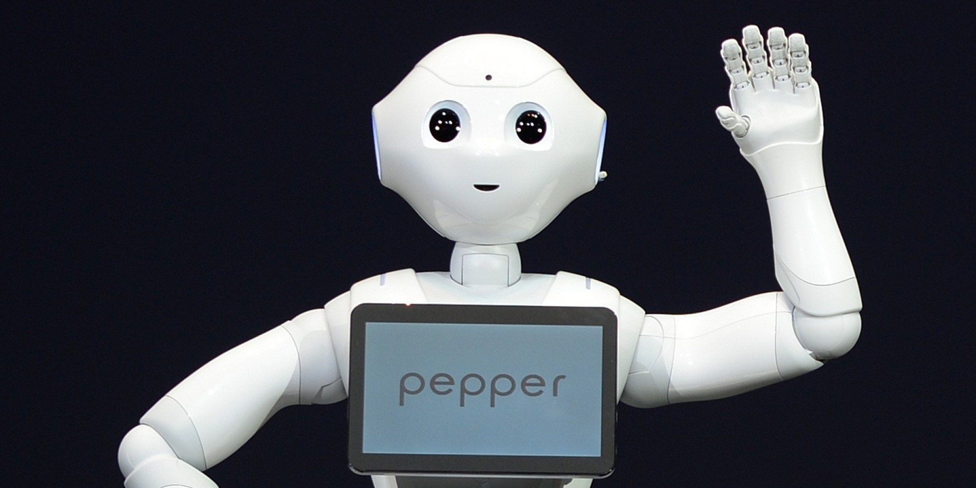 Personal companion robot, pepper