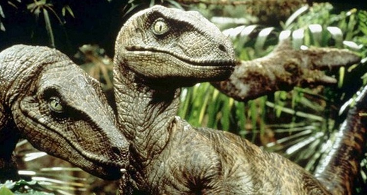 Velociraptors-jurassic-park