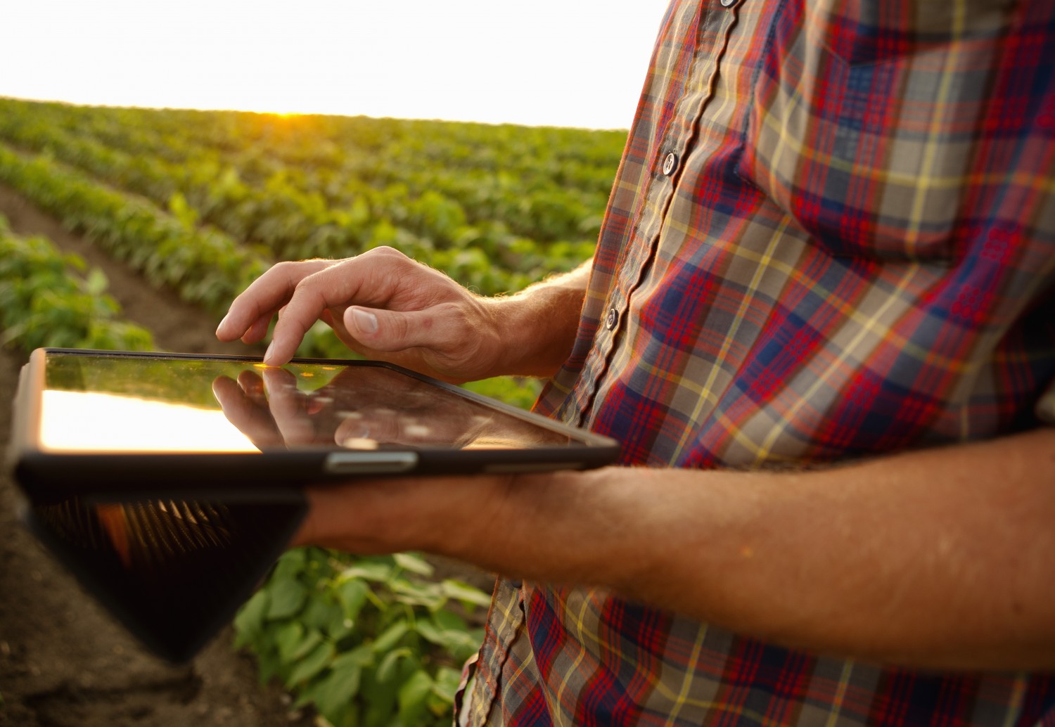 How the internet of things will change the farming industry