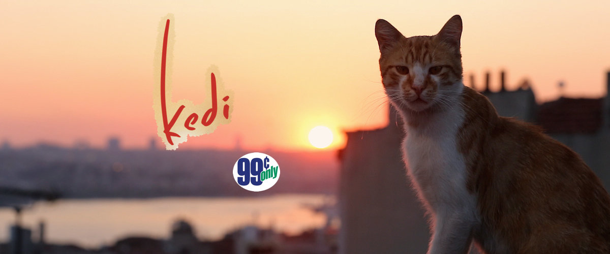 The (other) itunes $0. 99 movie of the week: ‘kedi’