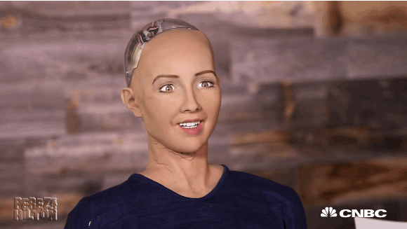 Sophia ai robot