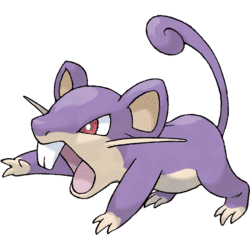Pokémon, joey's rattata