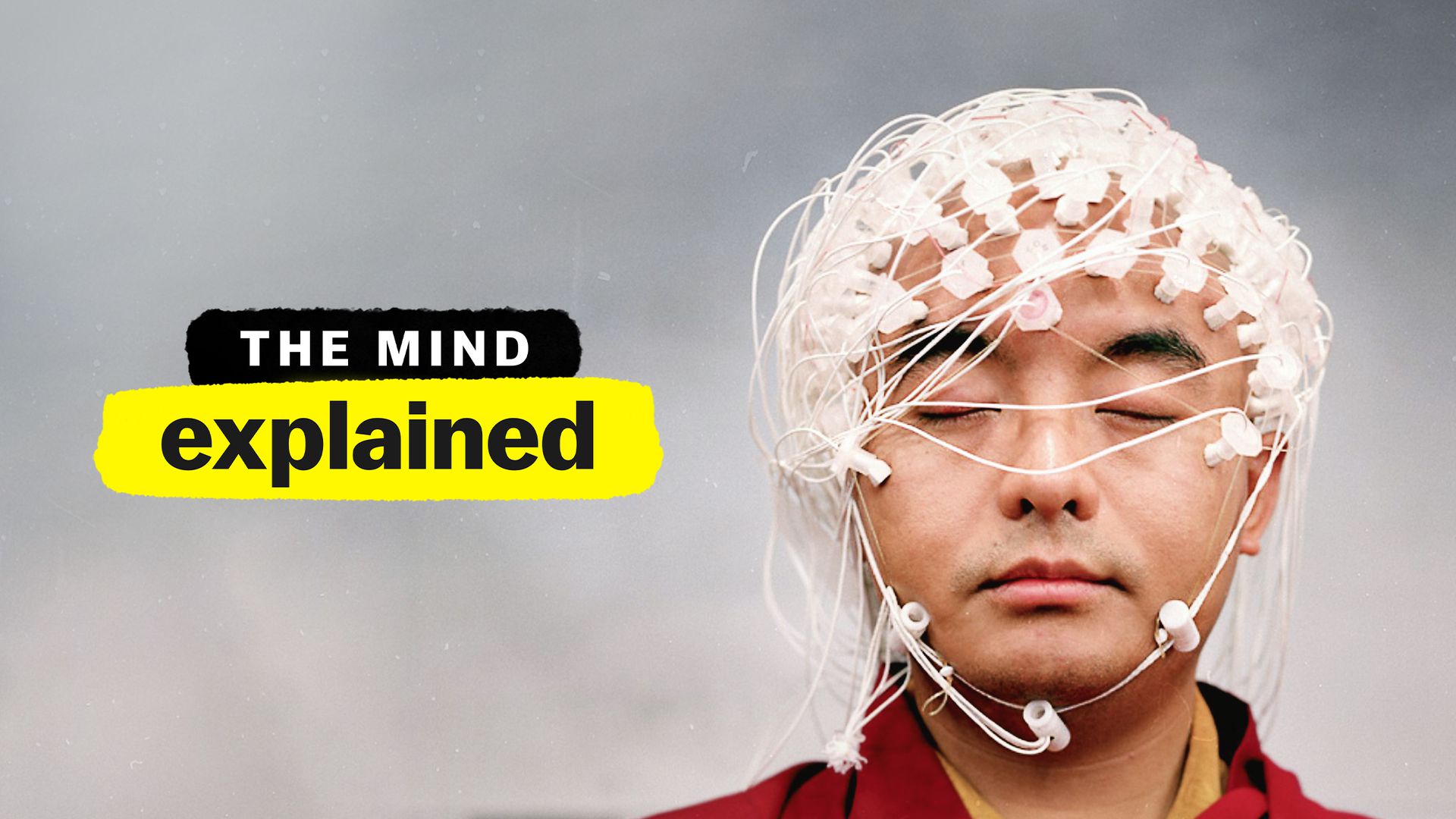 Geek insider, geekinsider, geekinsider. Com,, the mind, explained: the tripping brain, entertainment