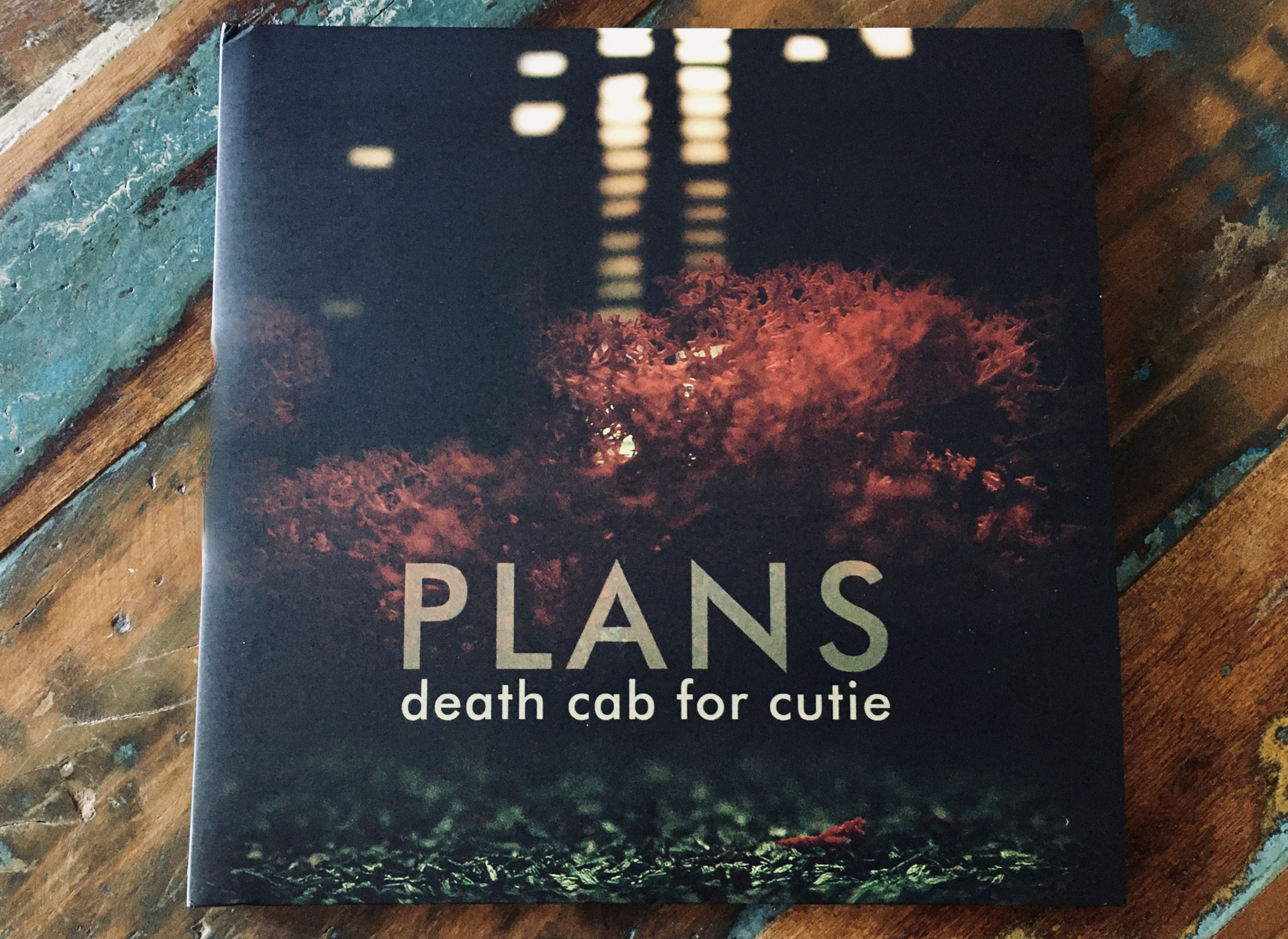 Death cab for cutie