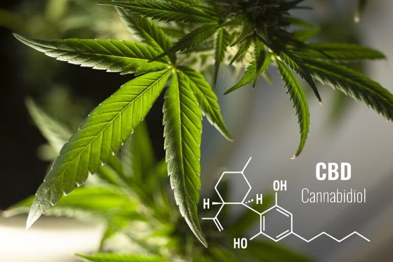 Reasons why you might want to use cbd