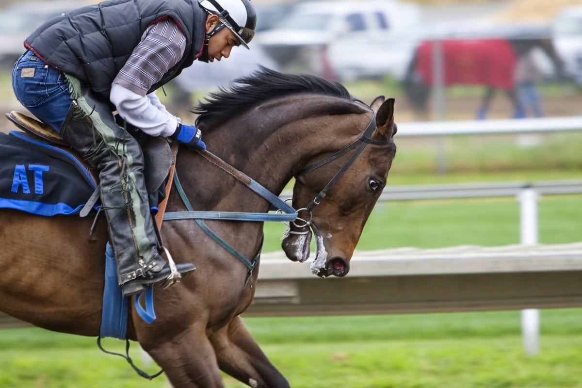 Geek insider, geekinsider, geekinsider. Com,, virtual horse racing is on the rise, gaming