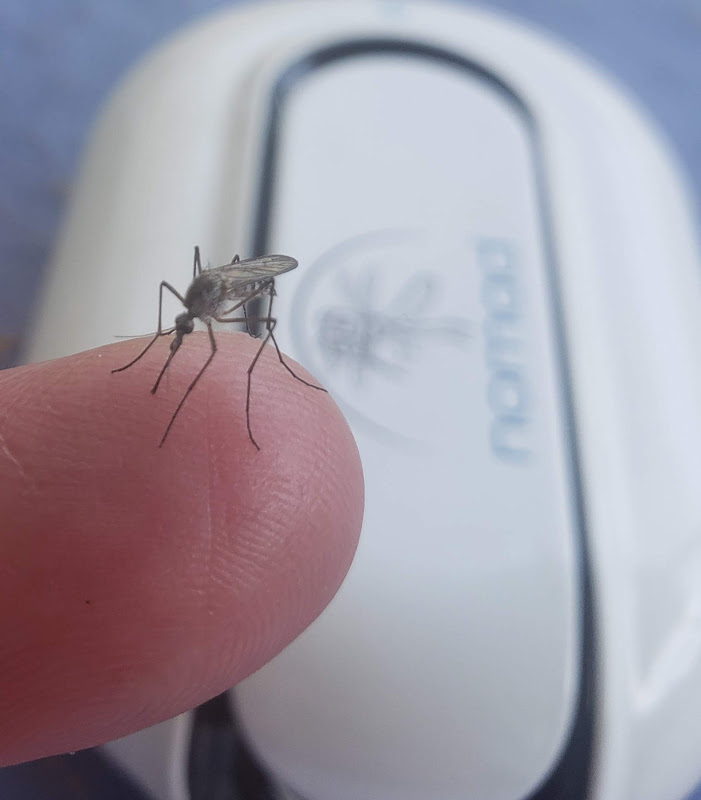 Geek insider, geekinsider, geekinsider. Com,, stop getting bled dry, use technology to be invisible to mosquitos, news