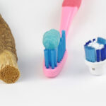 The History & Evolution of the Toothbrush