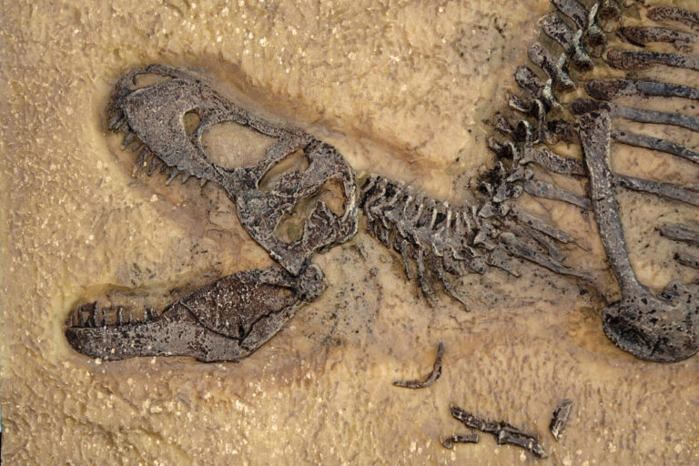 Scientists discover what was on the menu of the first dinosaurs