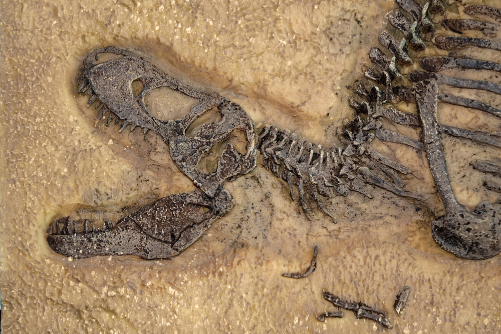 Geek insider, geekinsider, geekinsider. Com,, scientists discover what was on the menu of the first dinosaurs, news