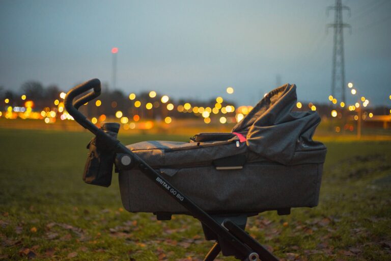 How does a self-driving stroller work? The lowdown on the latest parenting accessory