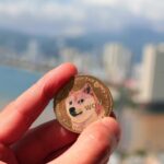 Dogecoin: An Overview of Its Case Uses and Adoption