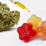 Homemade Weed Gummies: Benefits & How-to