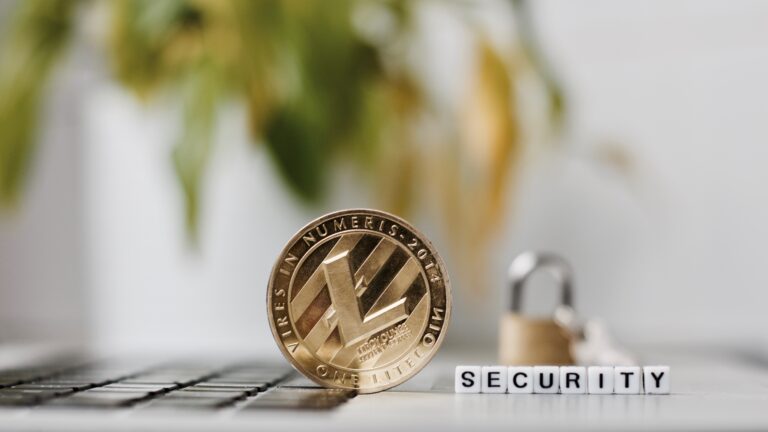 The security features of litecoin: an in-depth review